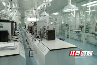 高質量發(fā)展看山東丨臨沂 電商與傳統(tǒng)產(chǎn)業(yè)共探新技術開發(fā)之路